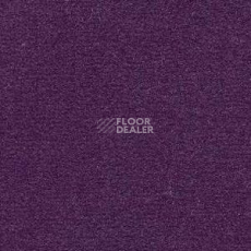 Ковролин Radici Nexus Parma 8248 фото 1 | FLOORDEALER